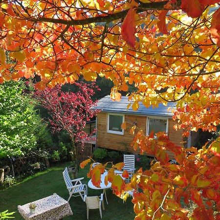 Ferienwohnungen Dorfliebe Doernberg Bestwig Ngoại thất bức ảnh